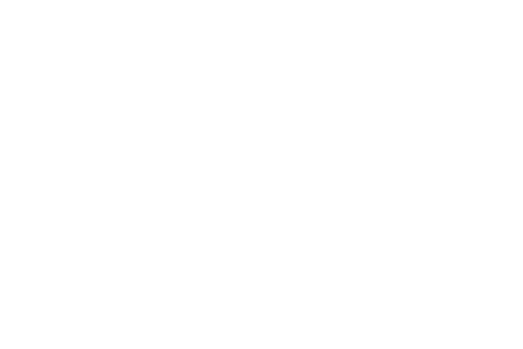 logoAudi